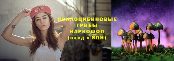ГАЛЛЮЦИНОГЕННЫЕ ГРИБЫ Красноперекопск