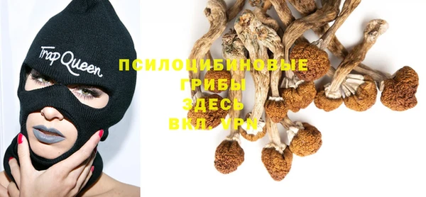 мдпв Краснотурьинск