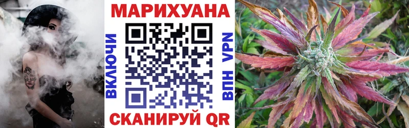 Бошки Шишки план  Шебекино 